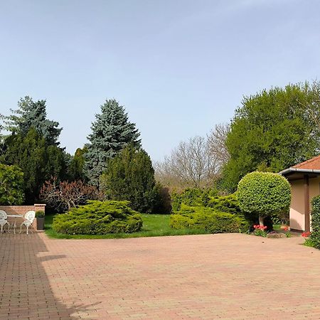 Korona Panzio Bed and Breakfast Balatonberény Buitenkant foto