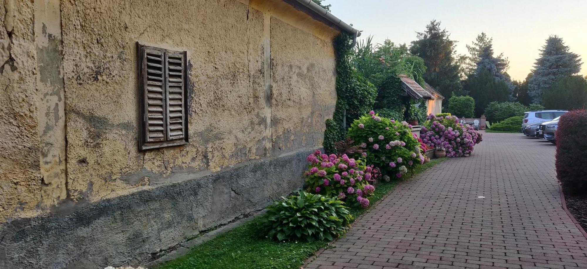 Korona Panzio Bed and Breakfast Balatonberény Buitenkant foto