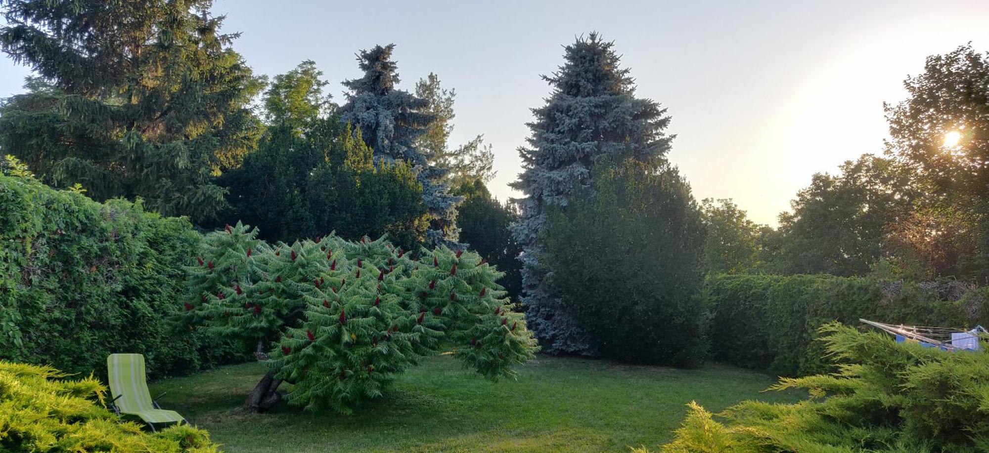 Korona Panzio Bed and Breakfast Balatonberény Buitenkant foto
