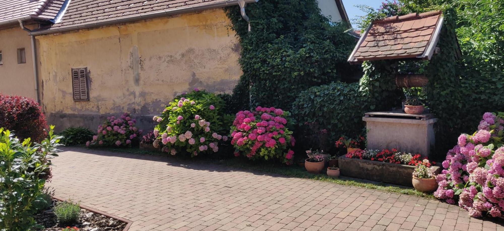 Korona Panzio Bed and Breakfast Balatonberény Buitenkant foto
